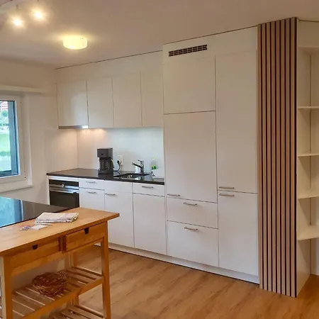 Apt- 13 By Interhome * Laax